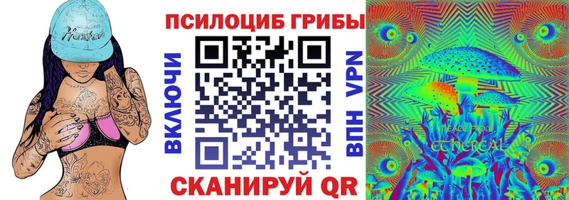 Псилоцибиновые грибы Cubensis  Урус-Мартан 